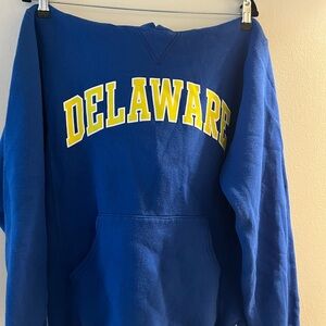 Classic Delaware Blue Sweatshirt